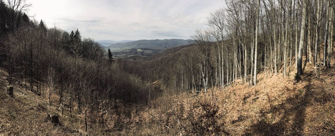 Studijní cesta na východní Slovensko