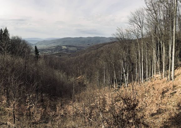 Studijní cesta na východní Slovensko